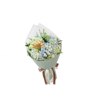 Cẩm Tú Cầu Và Em - belovedbeyond.com
