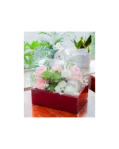 Only Rose 26 ( Size 50 Bông) - belovedbeyond.com