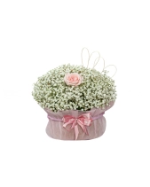 Baby Anh Yêu Em - belovedbeyond.com