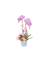 Pretty - belovedbeyond.com