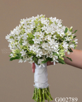 G002789 - belovedbeyond.com