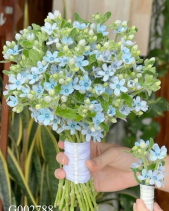 G002788 - belovedbeyond.com