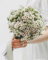 G002773 - belovedbeyond.com