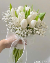 G002779 - belovedbeyond.com