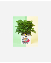 Daddy, My Hero - belovedbeyond.com