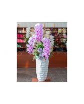 Hồ Điệp Cao Cấp 01 - belovedbeyond.com