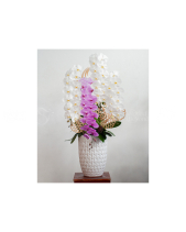 Hồ Điệp Cao Cấp 08 - belovedbeyond.com