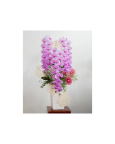 Hồ Điệp Cao Cấp 09 - belovedbeyond.com