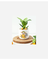 Hổ Thần Tài - belovedbeyond.com