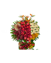 Vạn Sự Tốt Đẹp - belovedbeyond.com