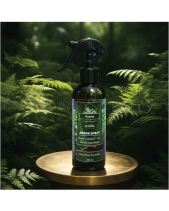 Xịt Thơm Phòng Ecolife – Hương Thơm Forest - belovedbeyond.com