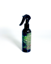 Xịt Thơm Phòng Ecolife – Hương Thơm Forest - belovedbeyond.com