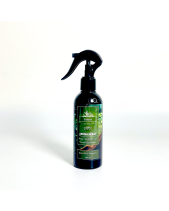 Xịt Thơm Phòng Ecolife – Hương Thơm Forest - belovedbeyond.com