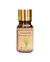 Tinh Dầu Sả Java – Citronella Essential Oil - belovedbeyond.com
