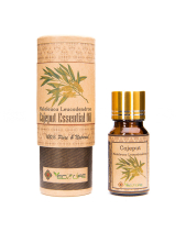 Tinh Dầu Tràm Gió – Cajeput Essential Oil - belovedbeyond.com