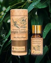 Tinh Dầu Khuynh Diệp – Eucalyptus Essentia - belovedbeyond.com