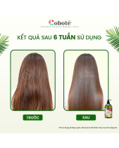 Dầu Gội Hương Nước Hoa- (480Ml) - belovedbeyond.com