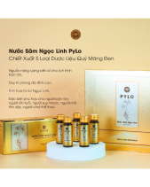 Nước Sâm Ngọc Linh Pylo (Hộp Biếu Tặng Sang Trọng) - belovedbeyond.com