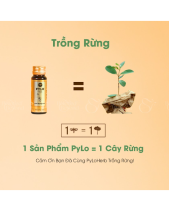 Nước Sâm Ngọc Linh Pylo (Hộp Biếu Tặng Sang Trọng) - belovedbeyond.com