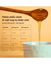Mật Ong Thiên Nhiên Pylo - Chai 680Gr - belovedbeyond.com