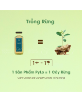 Tinh Bột Sâm Pylo - Hủ 250Gr - belovedbeyond.com