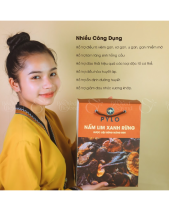 Nấm Lim Xanh Pylo - Hộp 500Gr - belovedbeyond.com