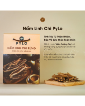 Nấm Linh Chi Pylo - Hộp 500Gr - belovedbeyond.com