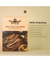 Nấm Linh Chi Pylo - Hộp 500Gr - belovedbeyond.com