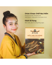 Nấm Linh Chi Pylo - Hộp 500Gr - belovedbeyond.com
