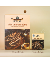 Nấm Linh Chi Pylo - Hộp 500Gr - belovedbeyond.com