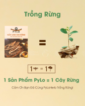 Nấm Linh Chi Pylo - Hộp 500Gr - belovedbeyond.com
