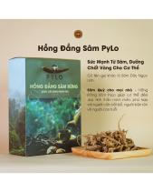 Hồng Đẳng Sâm Pylo - Hộp 500Gr - belovedbeyond.com
