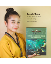 Hồng Đẳng Sâm Pylo - Hộp 500Gr - belovedbeyond.com