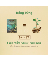 Hồng Đẳng Sâm Pylo - Hộp 500Gr - belovedbeyond.com