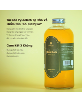 Giấm Táo Hữu Cơ Pylo - belovedbeyond.com