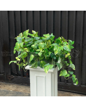 Hộp Lá Xanh - belovedbeyond.com