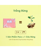 Bánh Sâm Hoa Anh Đào Pylo - belovedbeyond.com