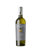 Giordano Pizzicanto - belovedbeyond.com