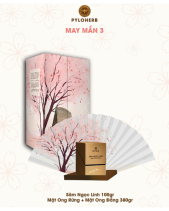 Quà Tết 2026 - May Mắn 3 - Sâm Ngọc Linh Mật Ong - belovedbeyond.com