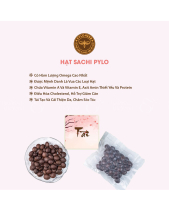 Quà Tết 2026 - Pylo An Khang - belovedbeyond.com