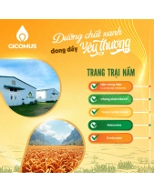 Nước Chiết Xuất Trùng Thảo Fucoidan Không Đường 70 - belovedbeyond.com
