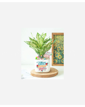 Mừng Ngày Nhà Giáo - belovedbeyond.com