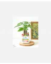 Tri Ân - belovedbeyond.com