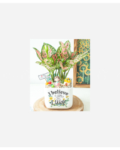 Follow You - belovedbeyond.com