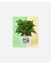 Home Is Where The Heart - belovedbeyond.com