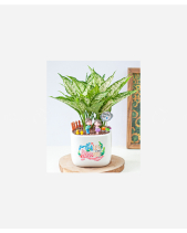 Yêu Bản Thân - belovedbeyond.com