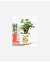 Đường Về Nhà - belovedbeyond.com