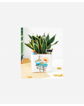 Lưỡi Hổ Tài Lộc - belovedbeyond.com