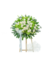 Niềm Thương Tiếc - belovedbeyond.com