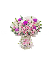 Graceful 2 - belovedbeyond.com